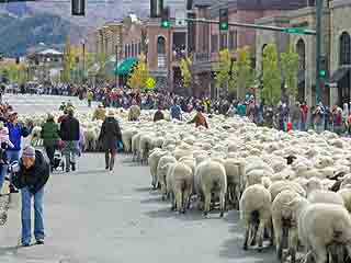  Idaho:  United States:  
 
 Trailing of the Sheep Festival, Ketchum